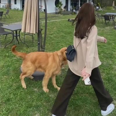 新扎师妹2美丽任务